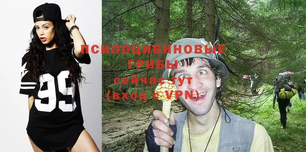 МДПВ Нязепетровск