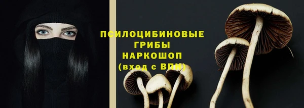 СК Нягань