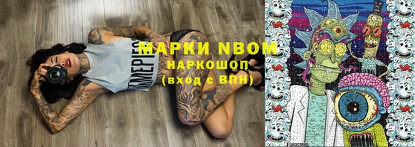 амф Новодвинск