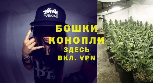 МДПВ Нязепетровск