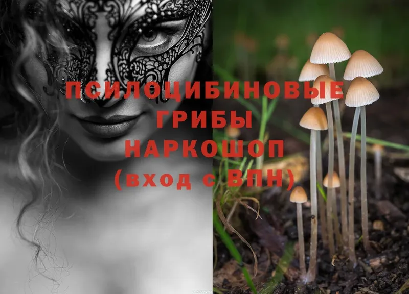 Псилоцибиновые грибы Magic Shrooms  наркошоп  Алейск 