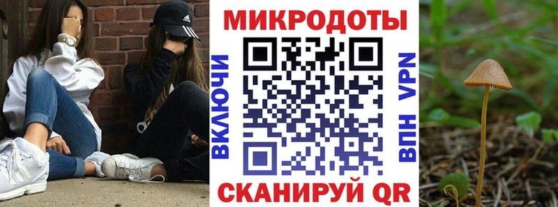 Псилоцибиновые грибы мухоморы  наркота  Алейск 