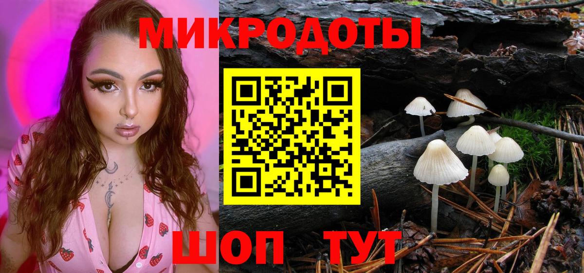 Алейск  Псилоцибиновые грибы мицелий  Вход с VPN 