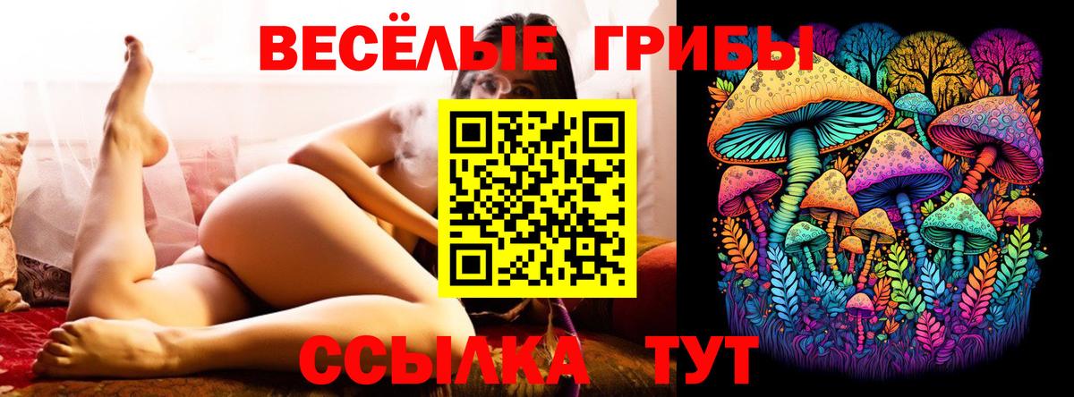 Алейск  Галлюциногенные грибы Psilocybine cubensis  Псилоцибиновые грибы Magic Shrooms  Вход с VPN 
