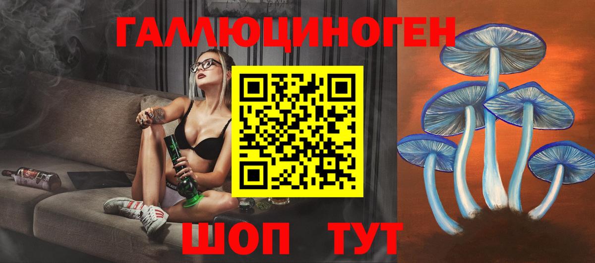 Галлюциногенные грибы Psilocybine cubensis Алейск