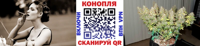 MEGA как войти  Алейск  МАРИХУАНА Bruce Banner 